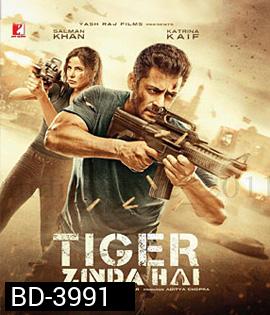 Tiger Zinda Hai (2017) เรียกข้าว่า..เสือ 2