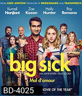 The Big Sick (2017) รักมันป่วย (ซวยแล้วเราเข้ากันไม่ได้)