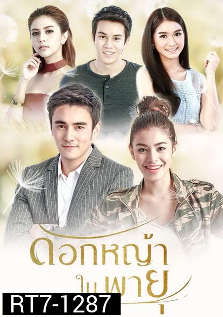 ดอกหญ้าในพายุ ( 16 ตอนจบ + EXTRA )