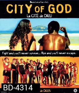 City of God (2002) เมืองคนเลวเหยียบฟ้า