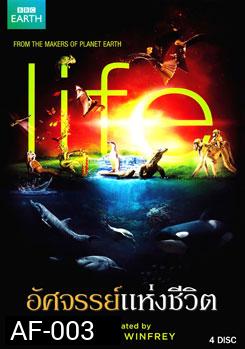 Life อัศจรรย์แห่งชีวิต
