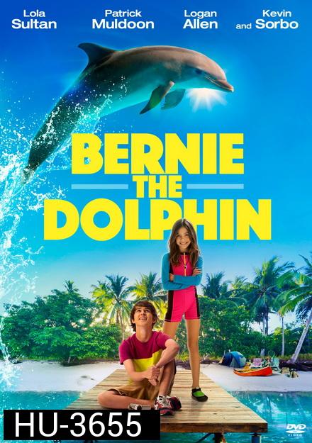 BERNIE THE DOLPHIN