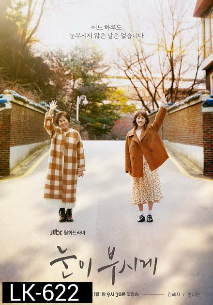 Dazzling / The Light in Your Eyes  ย้อนเวลารัก ( 12 ตอนจบ )