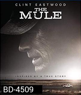 The Mule (2018) เดอะ มิวล์