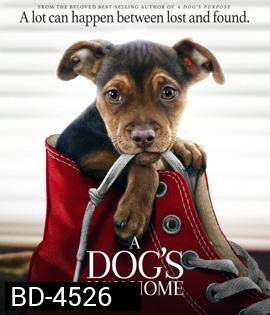 A Dog's Way Home (2019) เพื่อนรักผจญภัยสี่ร้อยไมล์