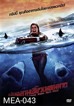 Dangerous Waters Shark Attack ฝูงฉลามเขี้ยวเพชฌฆาต