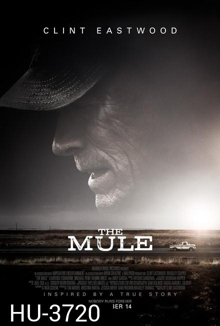The Mule (2018)  เดอะ มิวล์