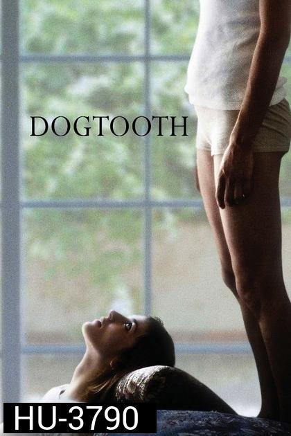 Dogtooth 2009 ครอบครัววิปลาศ  18+
