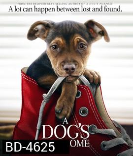 A Dog's Way Home (2019) เพื่อนรักผจญภัยสี่ร้อยไมล์