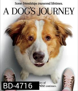 A Dog's Journey (2019) หมา เป้าหมาย และเด็กชายของผม 2