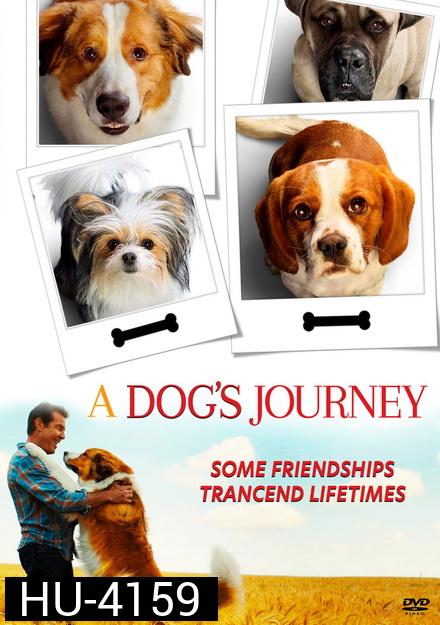 A Dog's Journey หมา เป้าหมาย และเด็กชายของผม 2