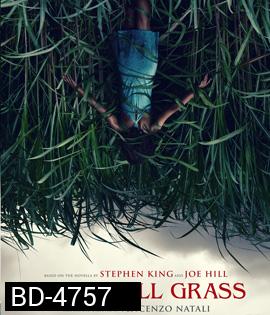 In The Tall Grass (2019) พงหลอนมรณะ {}