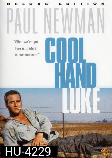 Cool Hand Luke (1967)  คนสู้คน