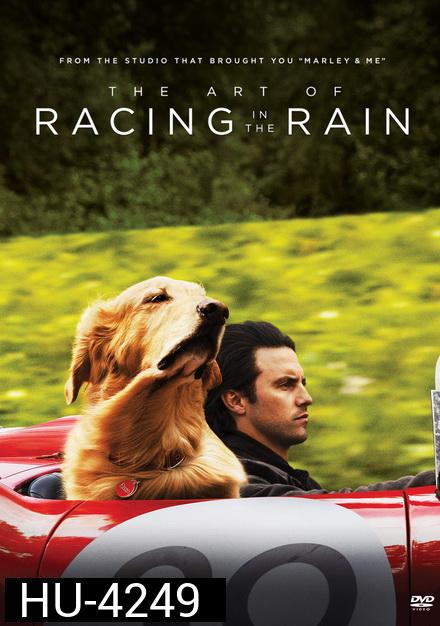 The Art of Racing in the Rain (2019) อุ่นไอหัวใจตูบ