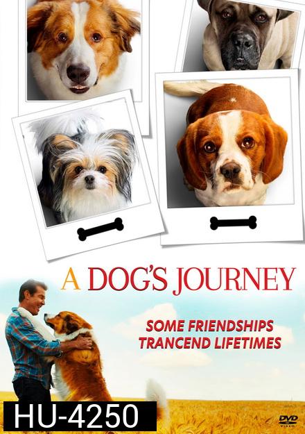 A Dog's Journey หมา เป้าหมาย และเด็กชายของผม 2