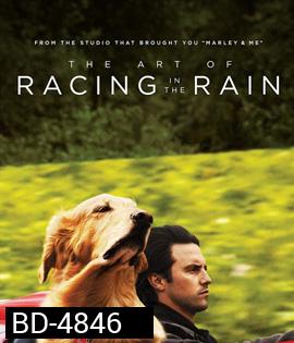 The Art of Racing in the Rain (2019) อุ่นไอหัวใจตูบ