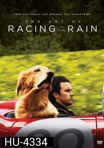 The Art of Racing in the Rain (2019) อุ่นไอหัวใจตูบ