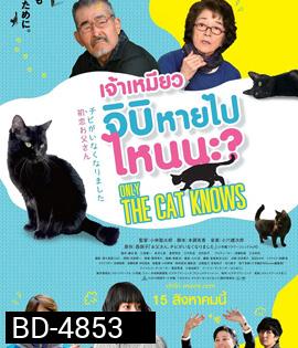 Only The Cat Knows (2019) เจ้าเหมียวจิบิ หายไปไหนนะ
