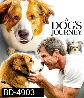 A Dog's Journey (2019) หมา เป้าหมาย และเด็กชายของผม 2
