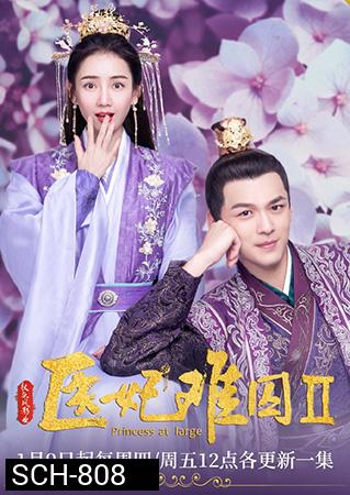 Princess at Large 2  พระชายาลอยนวล 2