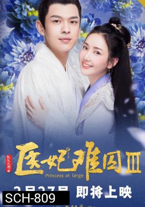 Princess at Large 3 พระชายาลอยนวล 3