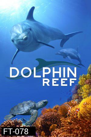 Dolphin Reef Disney อัศจรรย์ชีวิตของโลมา (2020)