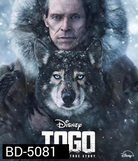Togo (2019) หมาป่า โตโก