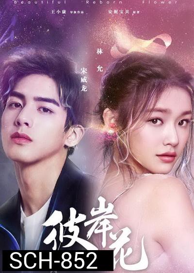 Beautiful Reborn Flower หยุดรักไว้กลางใจ ( 50 ตอนจบ ) แผ่นที่ 8 ตอนที่ 38 ไม่ครบตอน หายไป 5 นาทีนะครับ