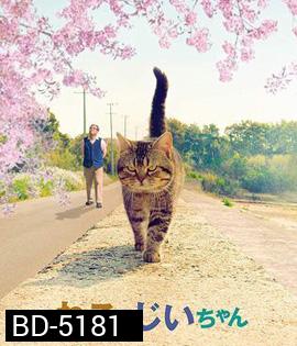 The Island of Cats (2019) แมวเหมียวกับคุณลุง