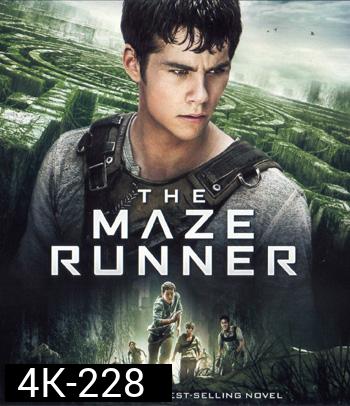 4K - Maze Runner (2014) วงกตมฤตยู - แผ่นหนัง 4K UHD