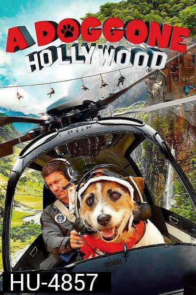 A Doggone Hollywood (2017)