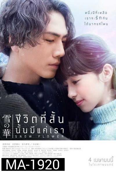 Snow Flower  ชีวิตที่สั้นนั้นมีแค่เรา