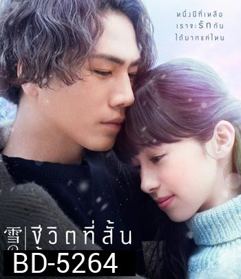 Snow Flower (2019) ชีวิตที่สั้น นั้นมีแค่เรา