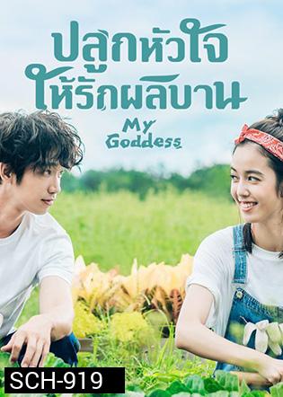 My Goddess (2018) ปลูกหัวใจให้รักผลิบาน