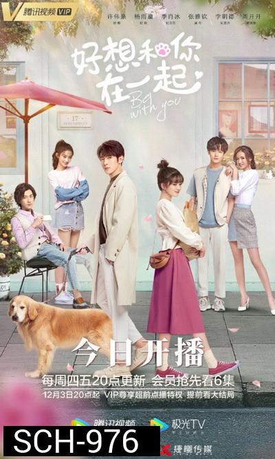ละลายรักนายมาดนิ่ง Be With You [ EP.1-24 END ]