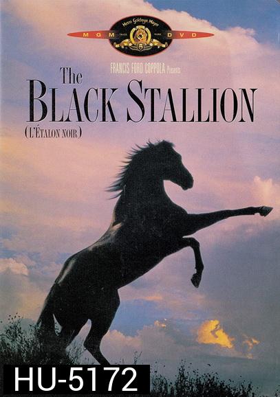 The Black Stallion (1979) อาชาเพื่อนยาก