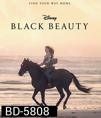 Black Beauty (2020)