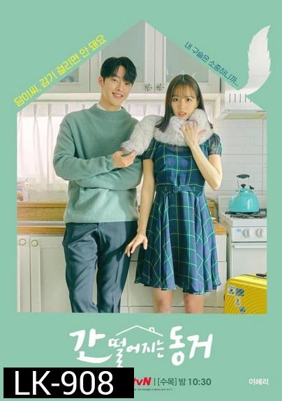 My Roommate is a Gumiho (2022) รูมเมตฉันคือคุณชายจิ้งจอก ( 16 ตอนจบ )