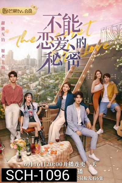 The Secret of Love (2021) ความลับของความรัก [Ep1-30End]