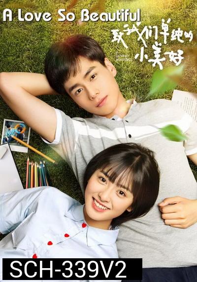 A Love So Beautiful รักนี้มีไว้เพื่อเธอ ( 23 ตอนจบ+Special )