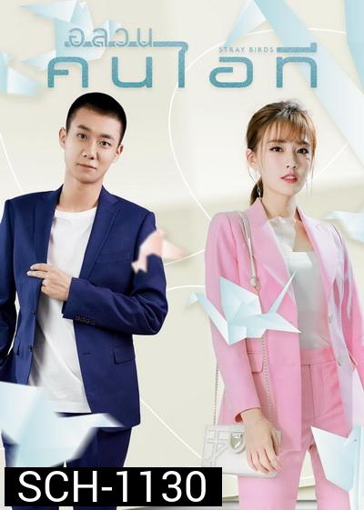 Stray Birds 2021 อลวนคนไอที  ( Ep.01-40 จบ )