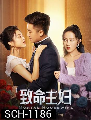 Mortal Housewife (2022) คมรักเมียหลวง (24 ตอน)