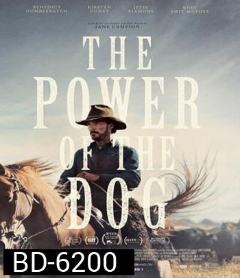 The Power of the Dog (2021) อำนาจบาดเลือดแค้น