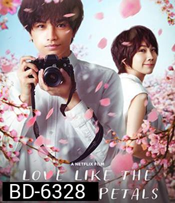 Love Like the Falling Petals (2022)