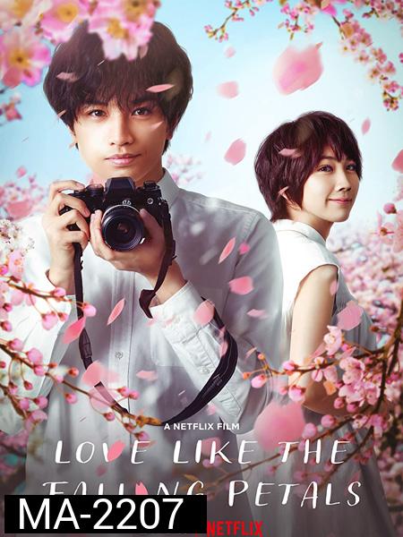 Love Like The Falling Petals (2022)