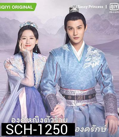 My Sassy Princess องค์หญิงตัวร้ายกับนายองครักษ์ (22 ตอนจบ)