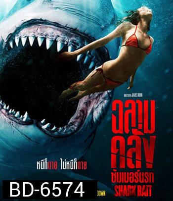 Shark Bait (2022) ฉลามคลั่ง ซัมเมอร์นรก