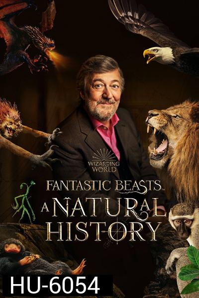 Fantastic Beasts A Natural History (2022)