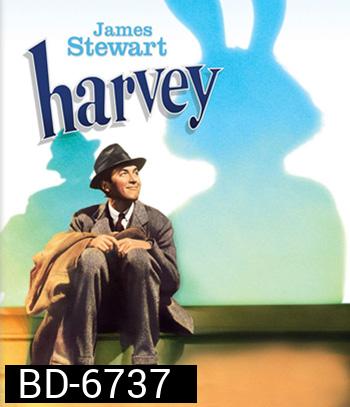 Harvey (1950) ฮาร์วี่ย์ เพื่อนซี้ไม่มีซ้ำ (ภาพ ขาว-ดำ)