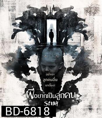Stray (2019) ผีอยากเป็นลูกคน